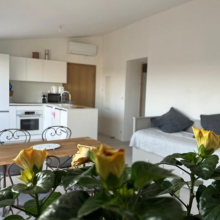 Au Coeur De Seillans, Charmant Logement, Grande Terrasse Et Panorama Экстерьер фото
