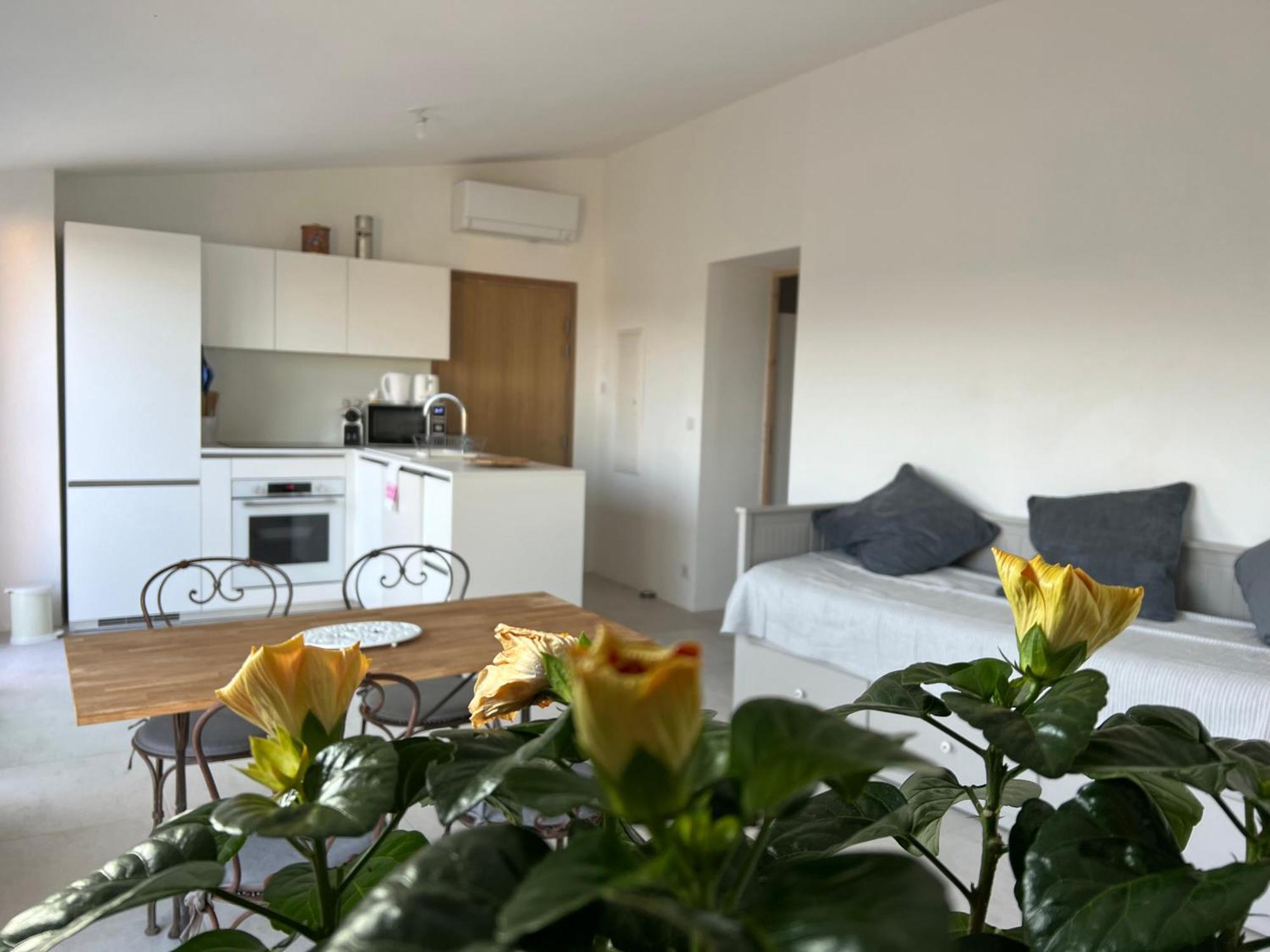 Au Coeur De Seillans, Charmant Logement, Grande Terrasse Et Panorama Экстерьер фото